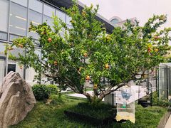 -悦融·京鲁菜·露台花园(安定门店)