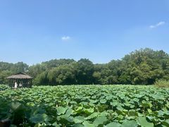 -兰亭风景区