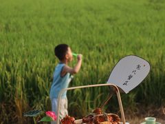 -蟹村草堂·苏式园林人文农家·大闸蟹
