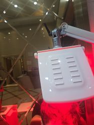 -碧莲盛·不剃发植发