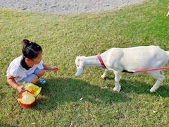 -前小桔亲子创意农场·草莓采摘·露营烧烤