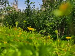 -京津新城温德姆至尊酒店(珠江大道店)