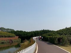 -迪茵湖田家舍生态农场