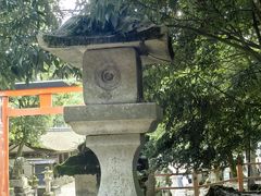 -奈良公园