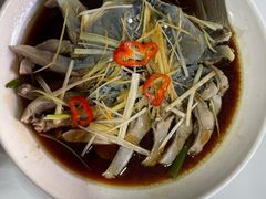 -煲来饱去冷水鱼