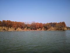 -苏州太湖国家湿地公园