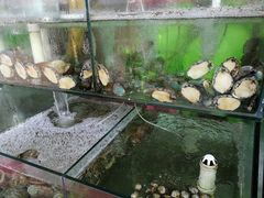 -四海鲜渔家菜(黄金海岸店)