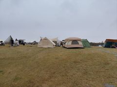 -春花秋色城市公园