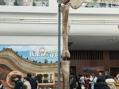 -自贡恐龙博物馆