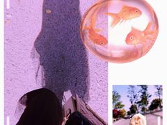 -西太湖揽月湾