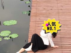-石家庄市植物园