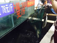 -吴记迎风楼北渡鱼