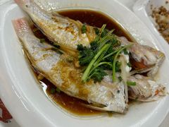 -陈记粤湛鸡饭店