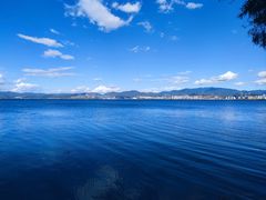 -洱海月湿地公园