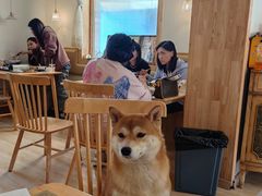 -柴の食堂·日式家庭料理·熊之肆(大学路店)