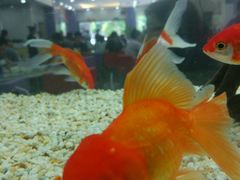 -香港祥兴茶餐厅(江北店)