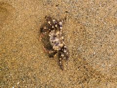 -雅逸居海鲜小厨