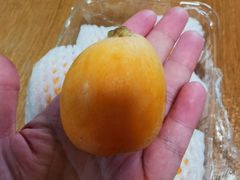 枇杷-百果园PAGODA(应元路店)