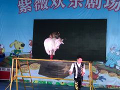 -武汉紫薇都市田园