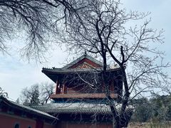 -潭柘寺景区