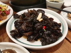 傣味黑木耳-云海肴·汽锅鸡·云南菜(广安门天虹店)