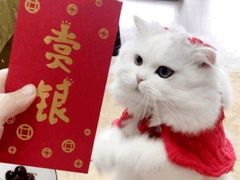 -AdD全日制餐厅(中谷花园酒店)