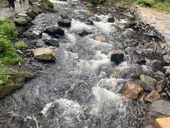 -凤凰山国家森林公园