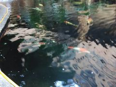 -顺景温泉