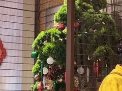 -牛村来人潮汕牛肉火锅(西单店)