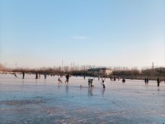 -马家湾湿地公园