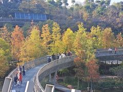 -福道
