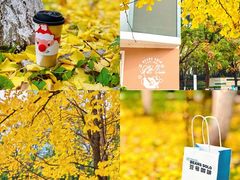 -Beans Solo豆号咖啡(百家湖花园店)