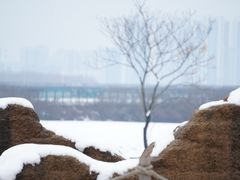 -盘龙城国家考古遗址公园