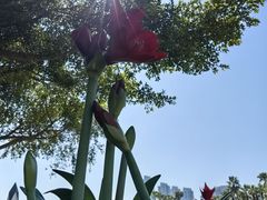 -厦门园林博览苑