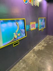 点击看大图 -恐龙探索乐园(磁器口店)