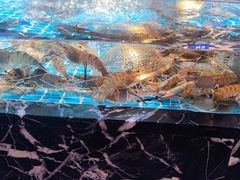 -山海•蒸汽活海鲜自助(皇庭广场店)