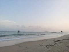 -东郊椰林