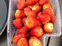 -天津东丽湖风景区