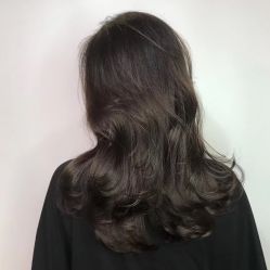 -T8 SALON