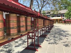 -护国法轮寺
