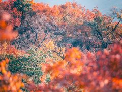 -周口店坡峰岭风景区