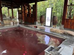 -天目湖御水温泉·度假酒店