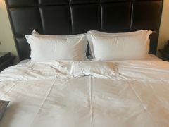 -圣雷克大酒店