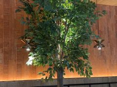 -同仁四季椰子鸡(无锡滨湖万象汇店)