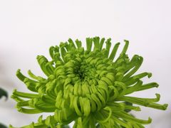 -杭州植物园