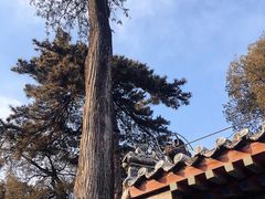 -潭柘寺景区