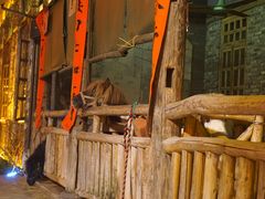 -巴倒烫陆派火锅山庄(南山总店)