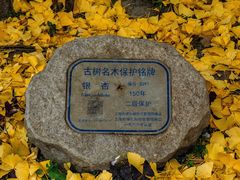 -徐家汇天主堂