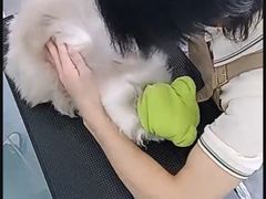 -爱洗澡的猫(望京店)