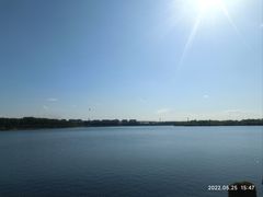 -丁香湖公园